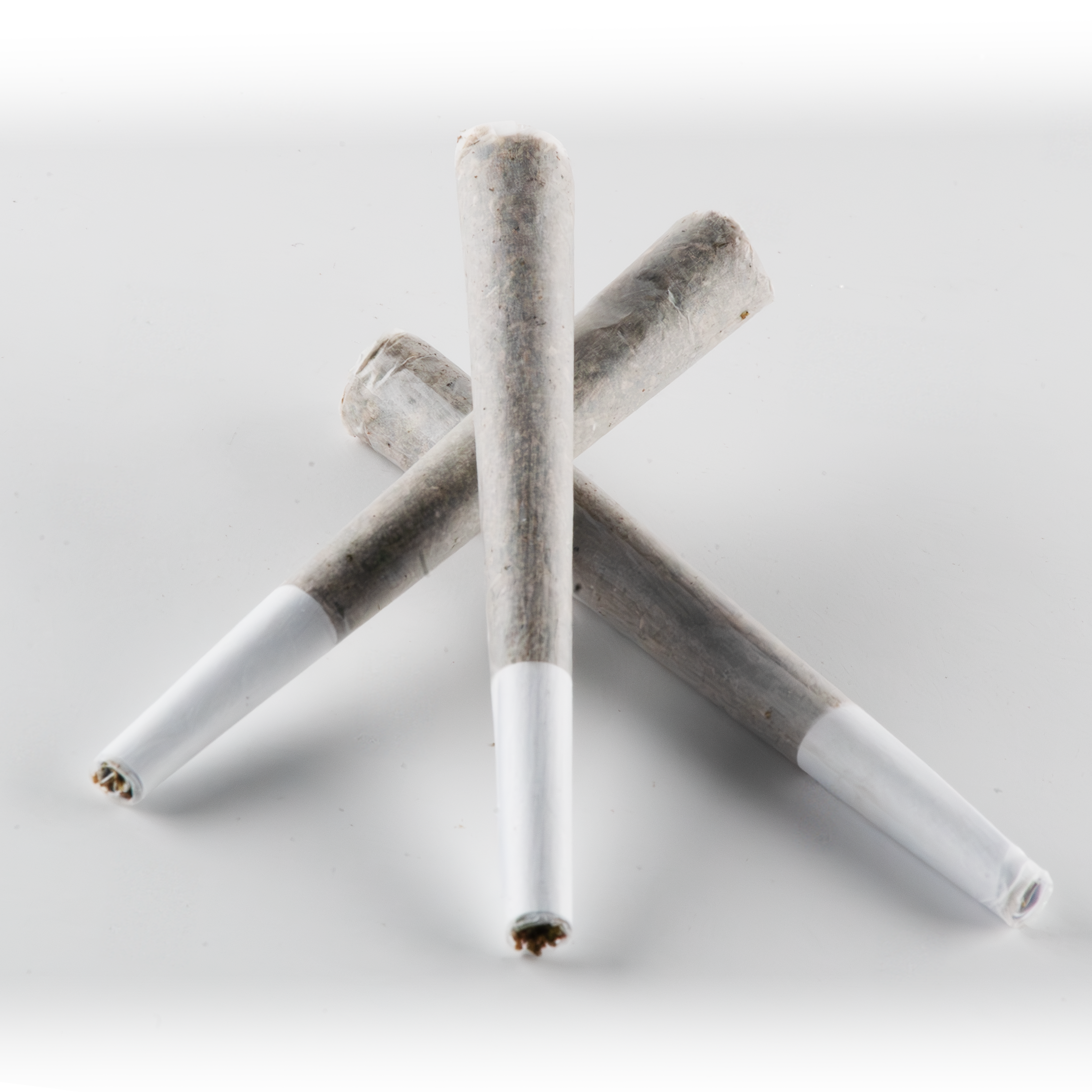 1 Gram Joint (325mg THC-A) - 40 Pack
