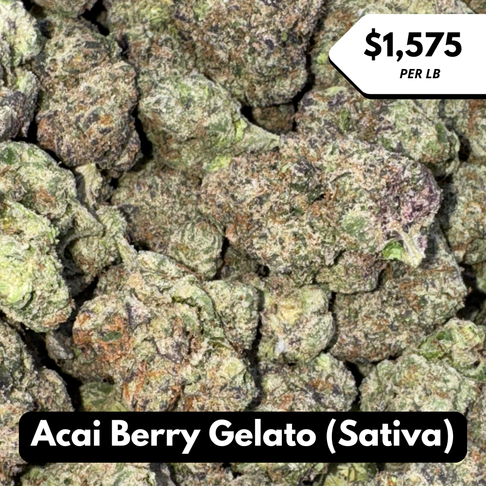 Natural THC-A Flower (Sativa ~ Acai Berry Gelato)