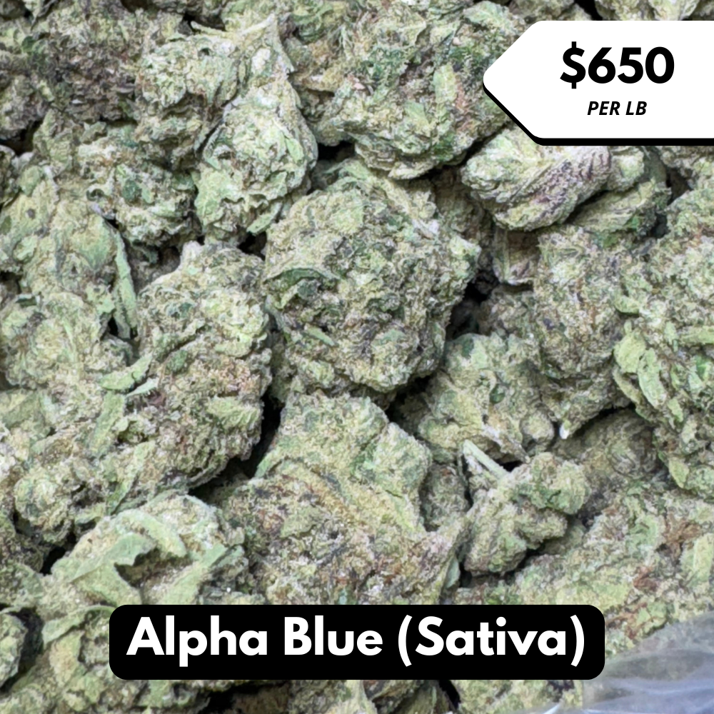 Natural THC-A Flower (Sativa ~ Alpha Blue)