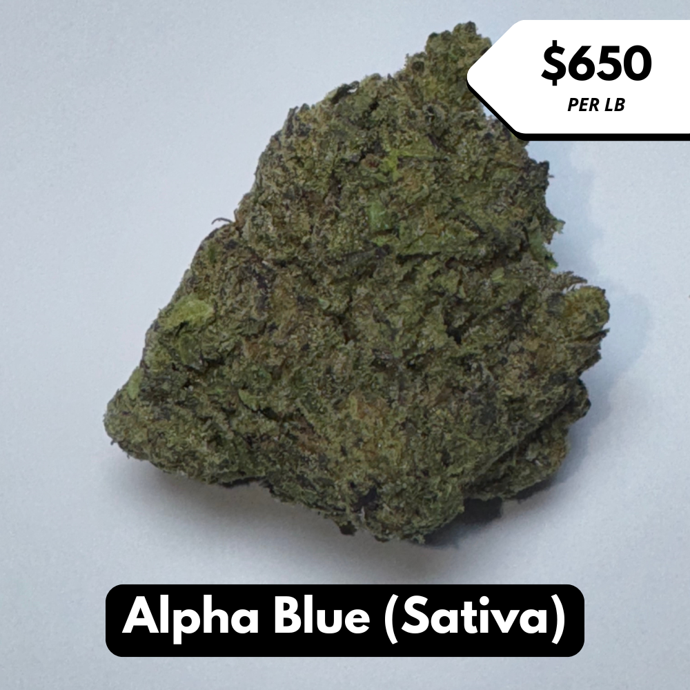Natural THC-A Flower (Sativa ~ Alpha Blue)