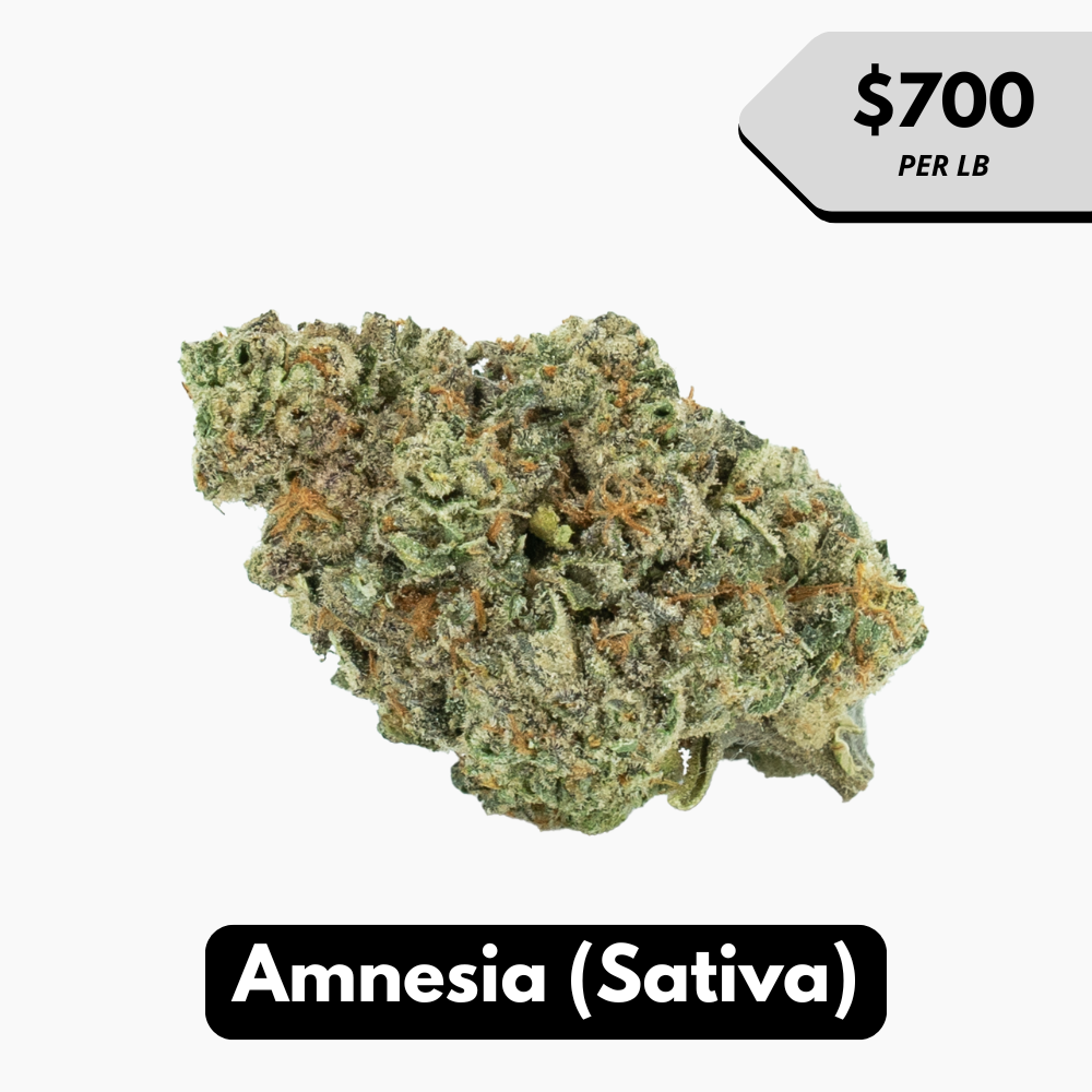 Natural THC-A Flower (Sativa ~ Amnesia)