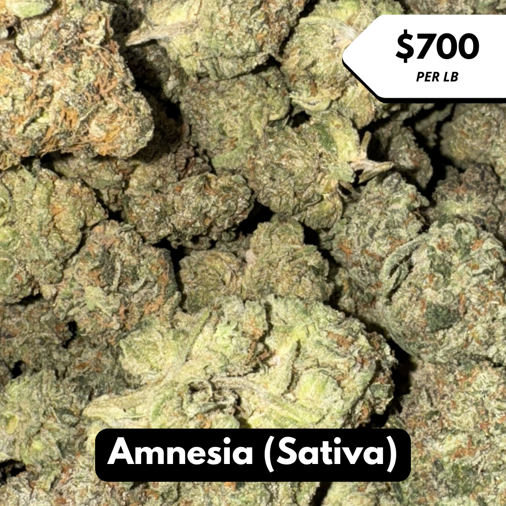 Natural THC-A Flower (Sativa ~ Amnesia)