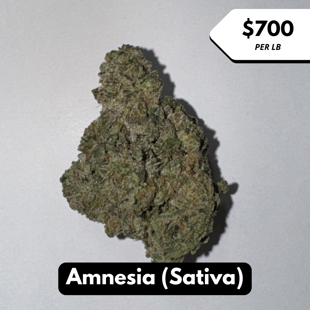 Natural THC-A Flower (Sativa ~ Amnesia)