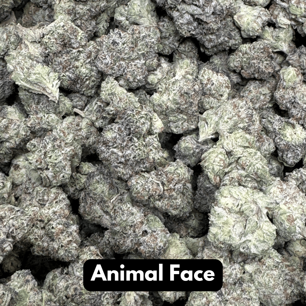 Natural THC-A Flower (Animal Face)