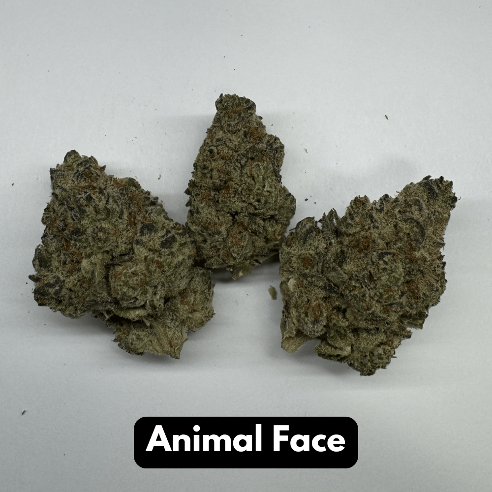 Natural THC-A Flower (Animal Face)