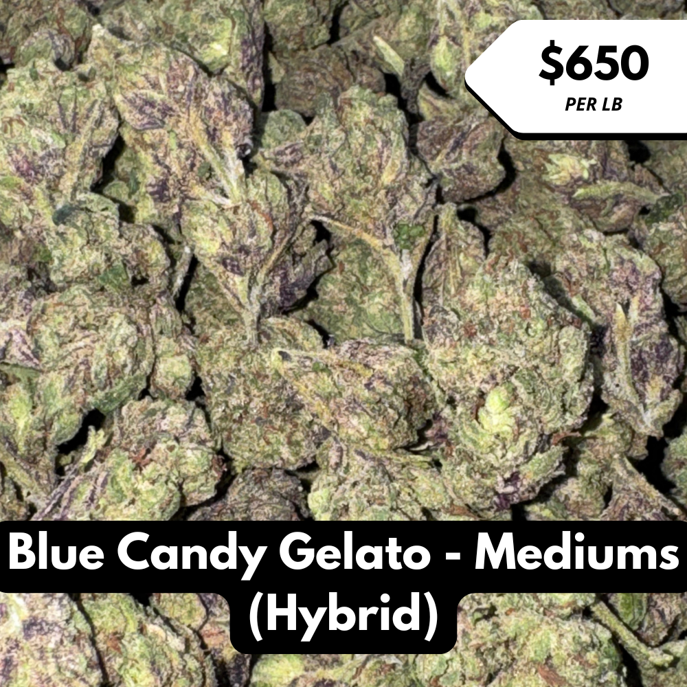 Natural THC-A Flower (Hybrid ~ Blue Candy Gelato - Mediums)
