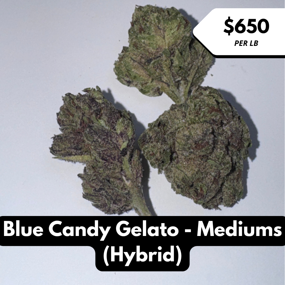 Natural THC-A Flower (Hybrid ~ Blue Candy Gelato - Mediums)