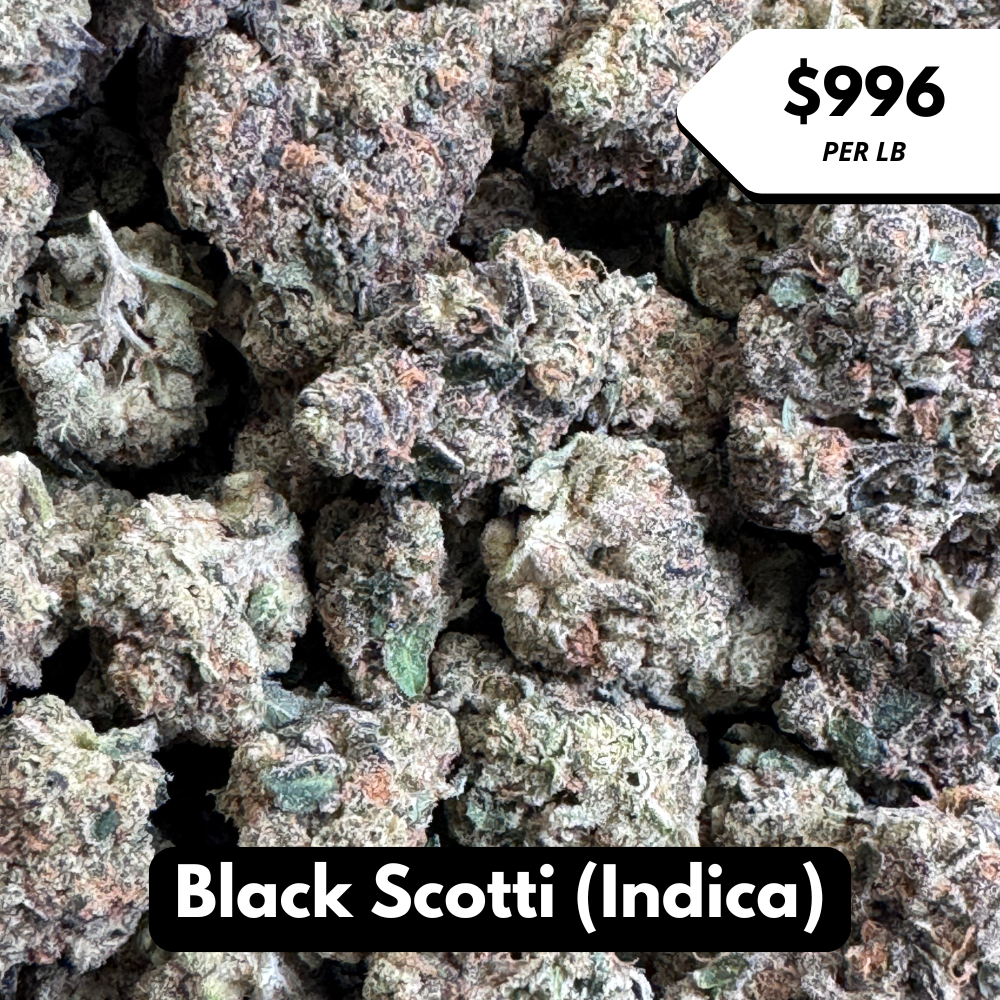 Natural THC-A Flower (Indica ~ Black Scotti)