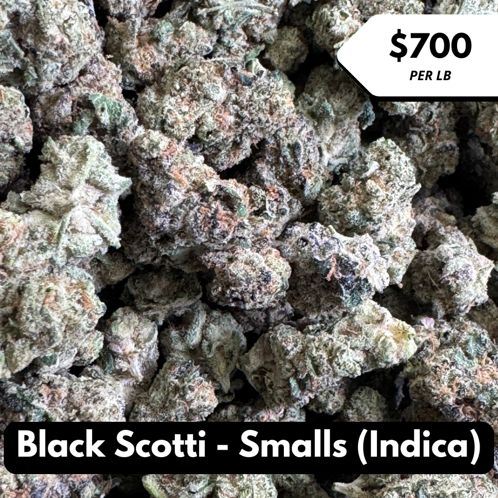 Natural THC-A Flower (Indica ~ Black Scotti - Smalls)