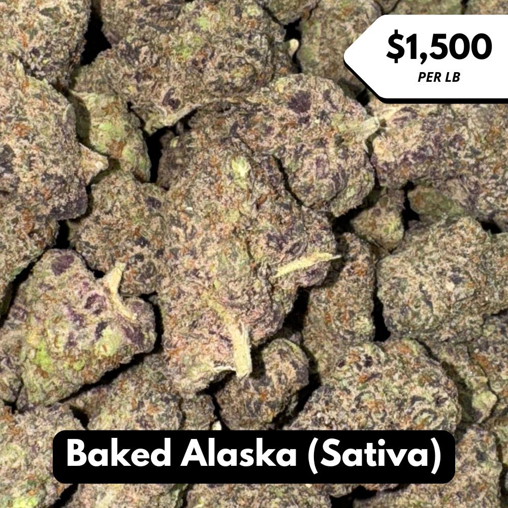 Natural THC-A Flower (Sativa ~ Baked Alaska)