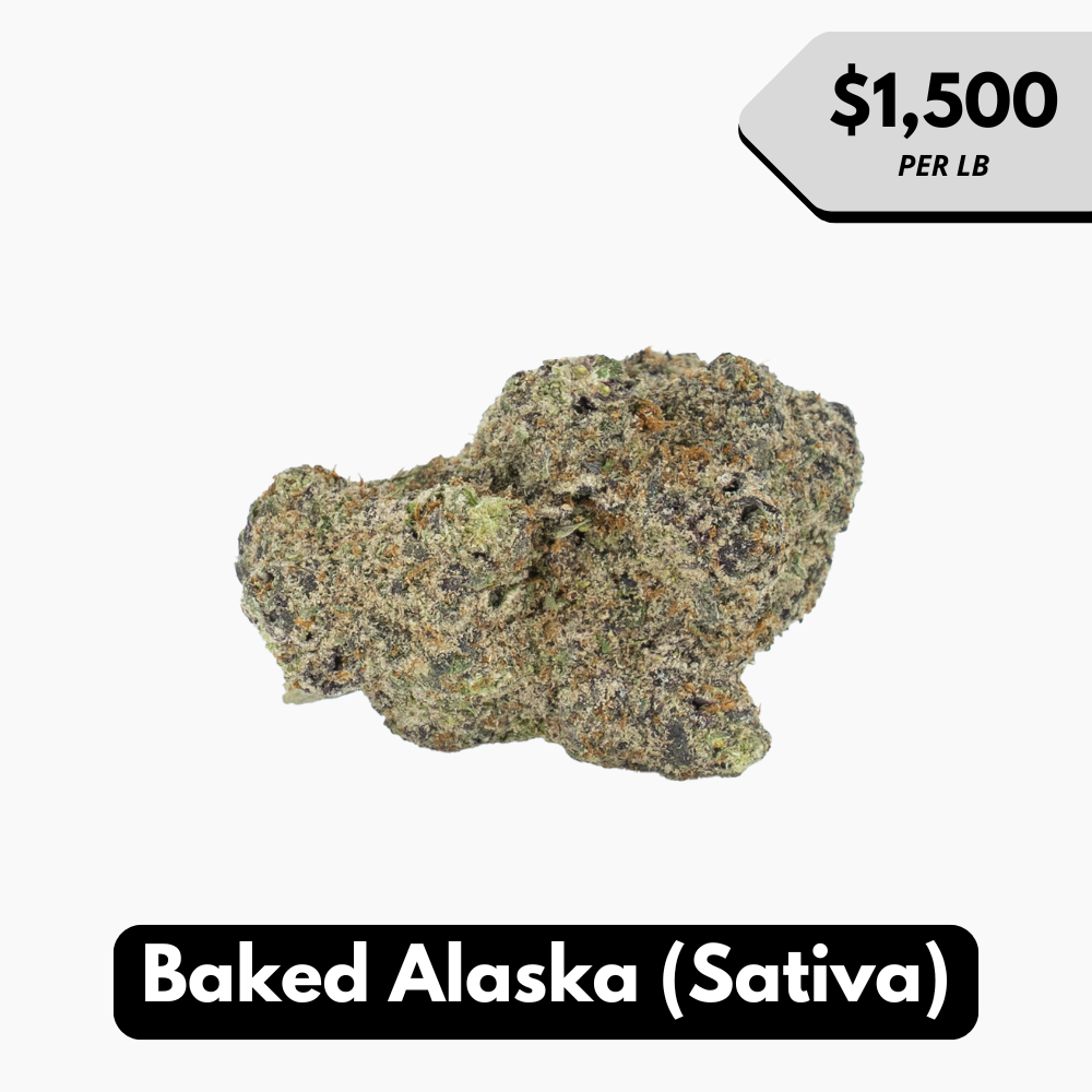 Natural THC-A Flower (Sativa ~ Baked Alaska)