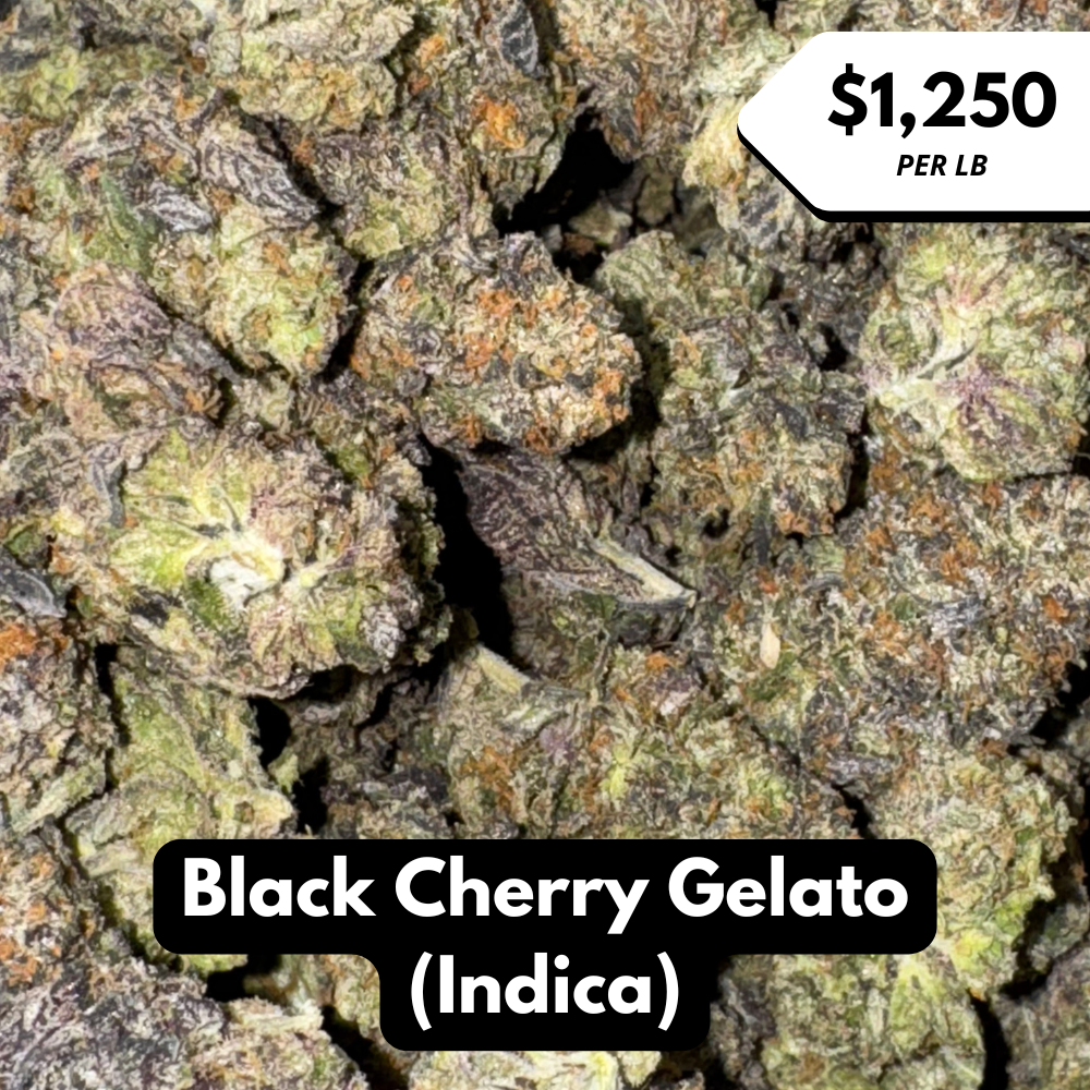 Natural THC-A Flower (Indica ~ Black Cherry Gelato)