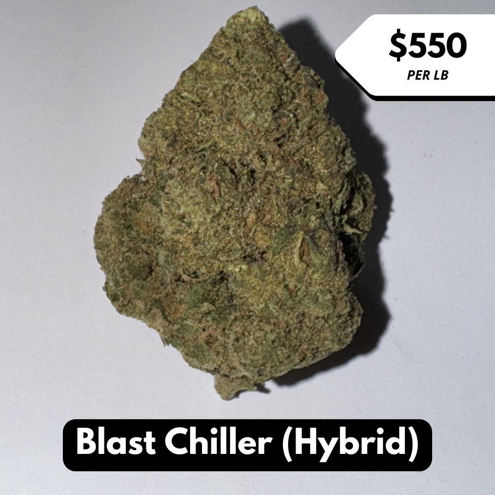 Natural THC-A Flower (Hybrid ~ Blast Chiller)