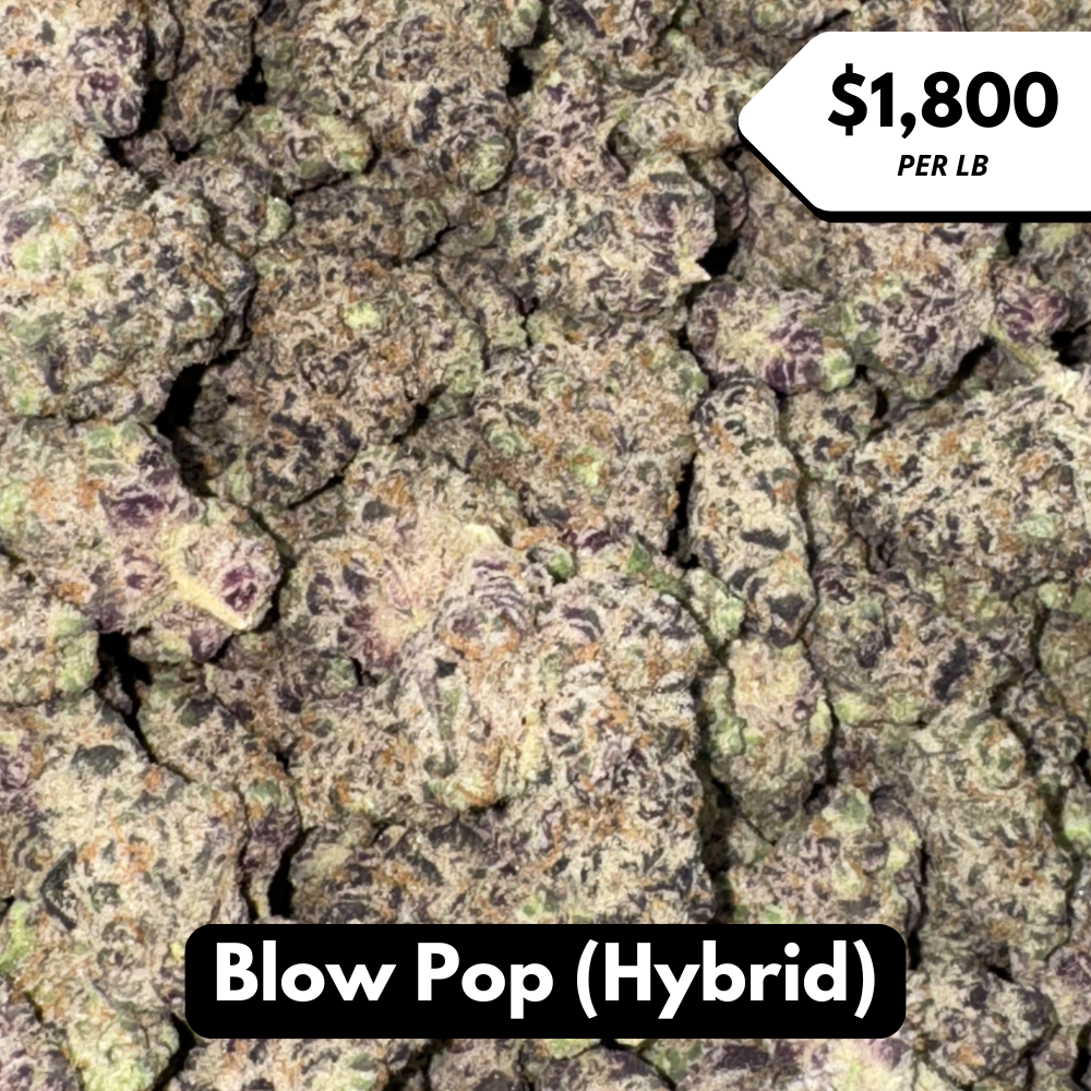 Natural THC-A Flower (Hybrid ~ Blow Pop)