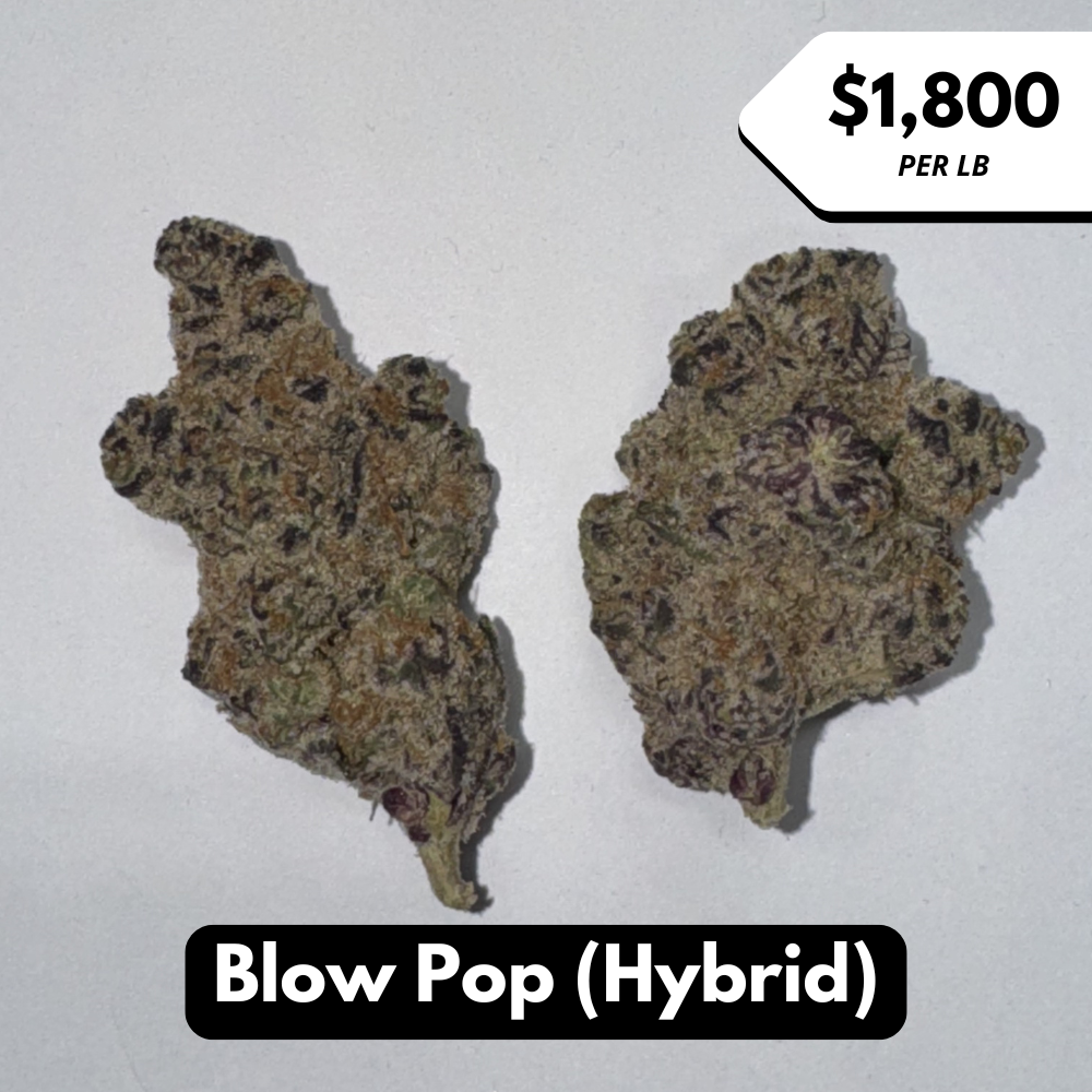 Natural THC-A Flower (Hybrid ~ Blow Pop)