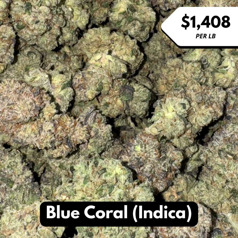 Natural THC-A Flower (Indica ~ Blue Coral)