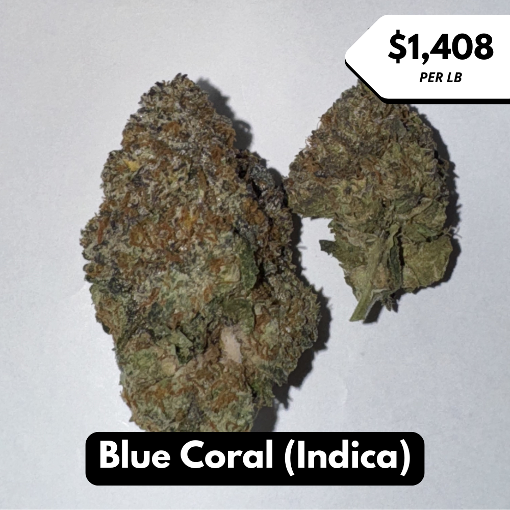 Natural THC-A Flower (Indica ~ Blue Coral)