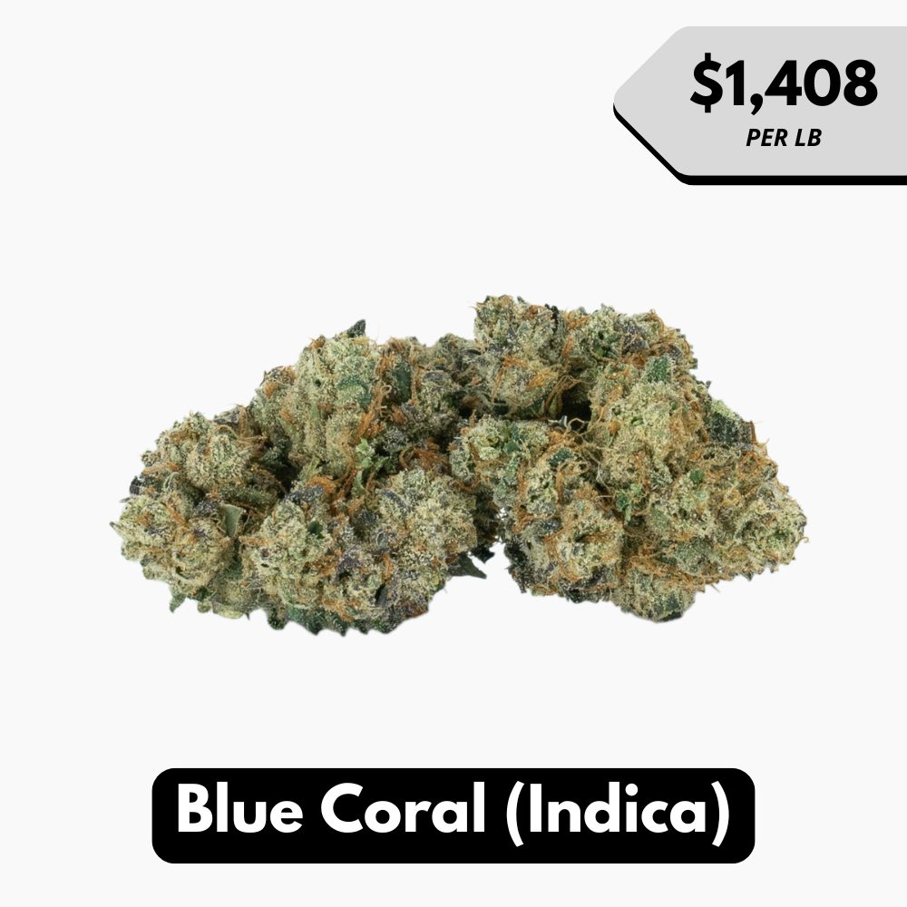 Natural THC-A Flower (Indica ~ Blue Coral)