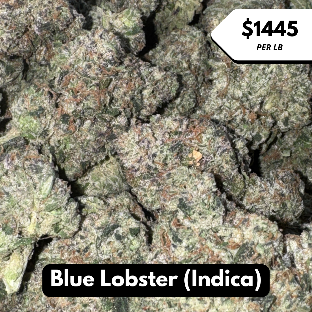 Natural THC-A Flower (Indica ~ Blue Lobster)