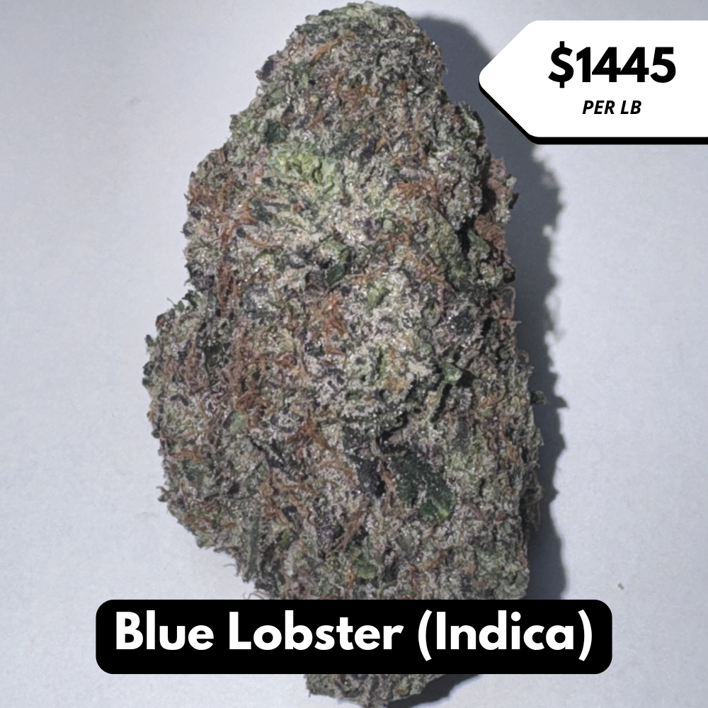 Natural THC-A Flower (Indica ~ Blue Lobster)