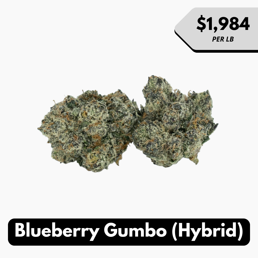 Natural THC-A Flower (Hybrid ~ Blueberry Gumbo)