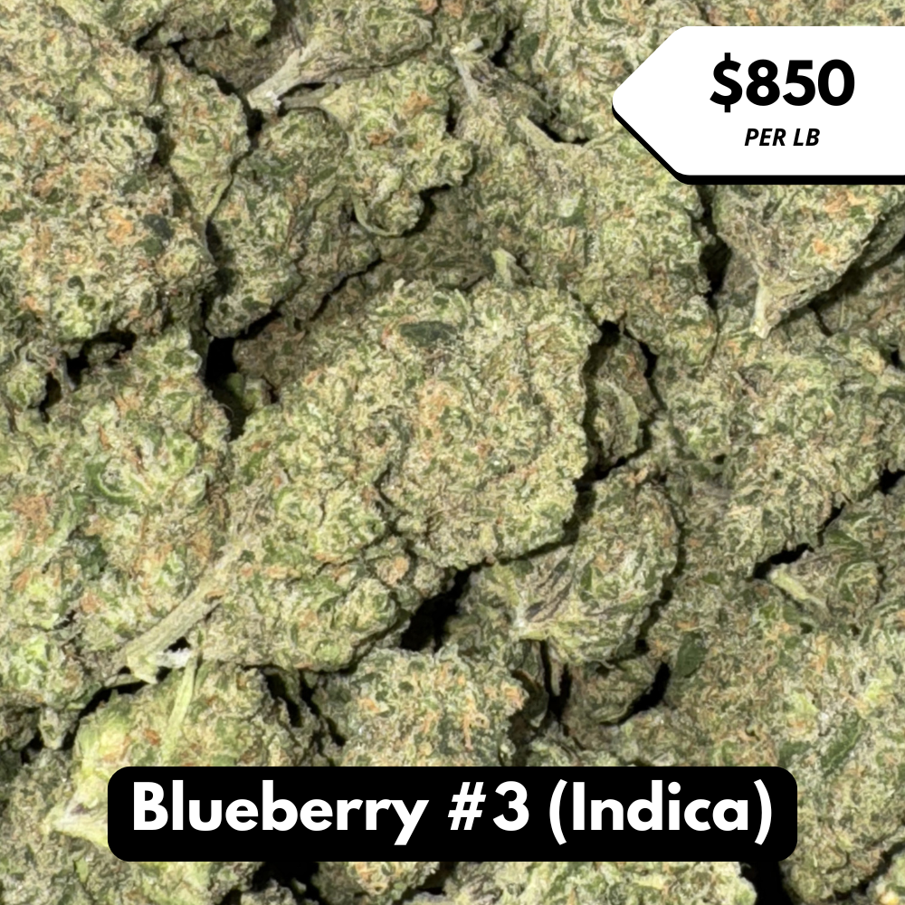 Natural THC-A Flower (Indica ~ Blueberry #3)