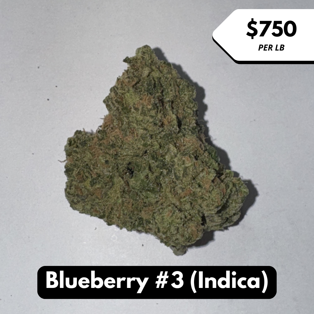 Natural THC-A Flower (Indica ~ Blueberry #3)