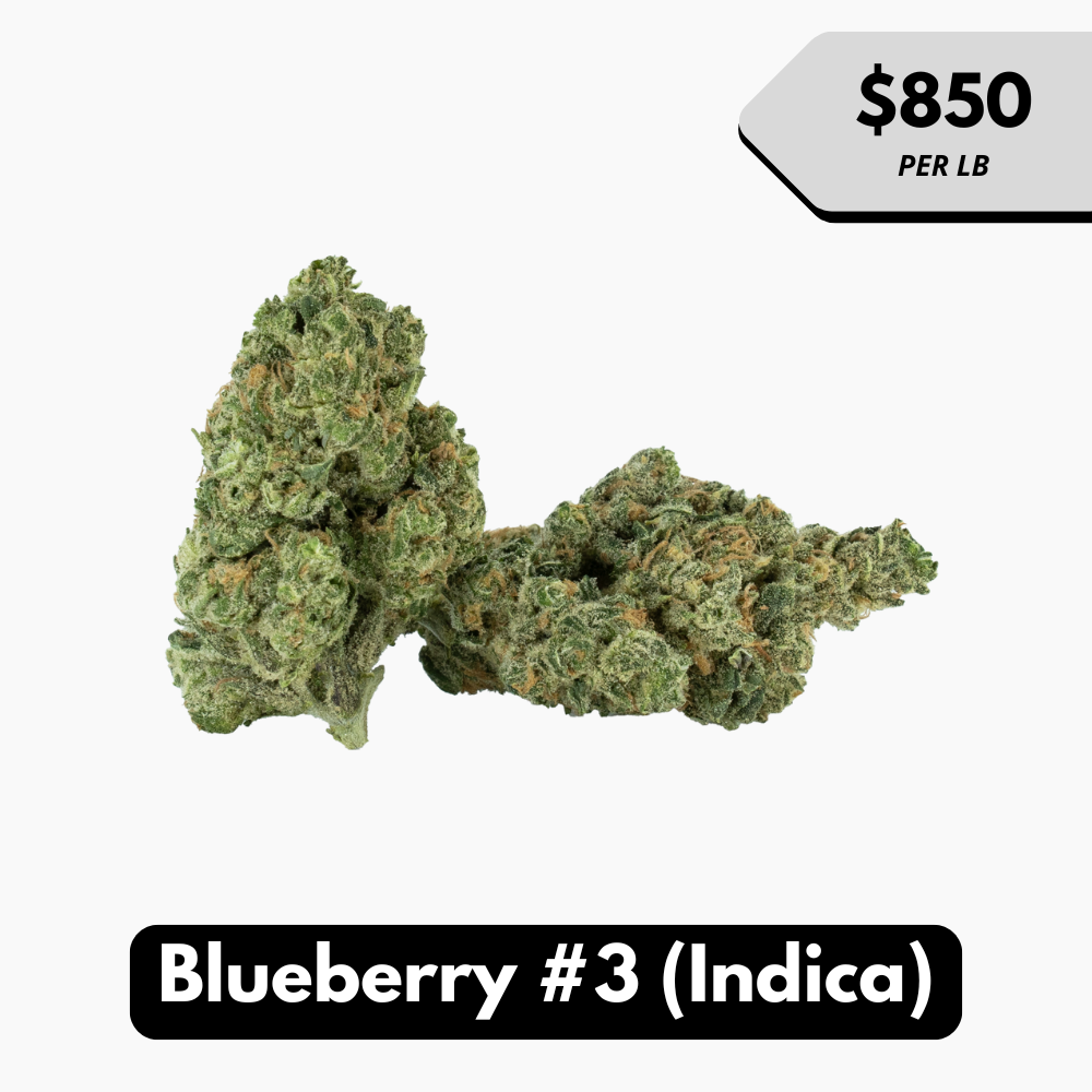 Natural THC-A Flower (Indica ~ Blueberry #3)