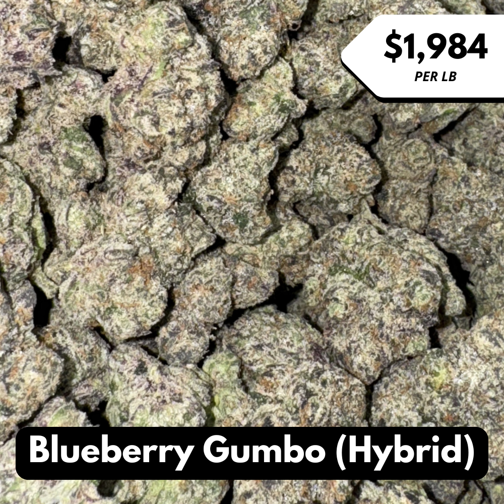 Natural THC-A Flower (Hybrid ~ Blueberry Gumbo)