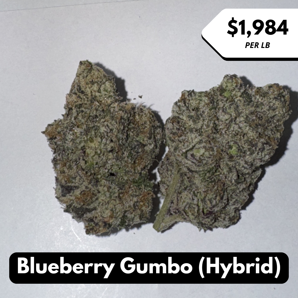 Natural THC-A Flower (Hybrid ~ Blueberry Gumbo)