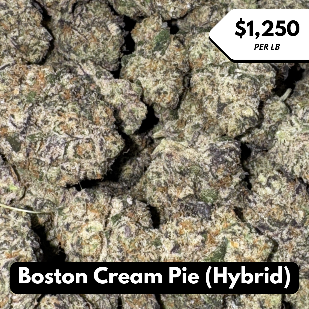 Natural THC-A Flower (Hybrid ~ Boston Cream Pie)