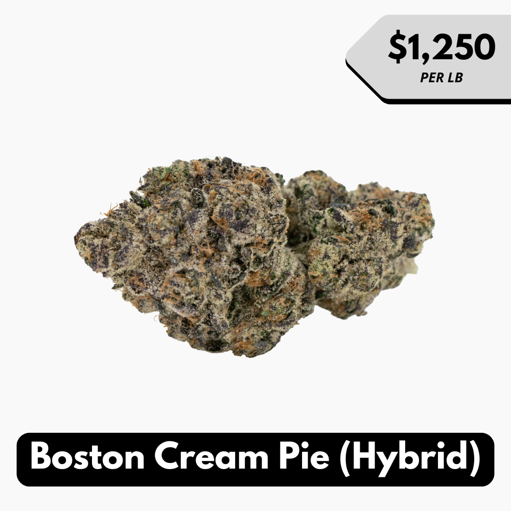 Natural THC-A Flower (Hybrid ~ Boston Cream Pie)