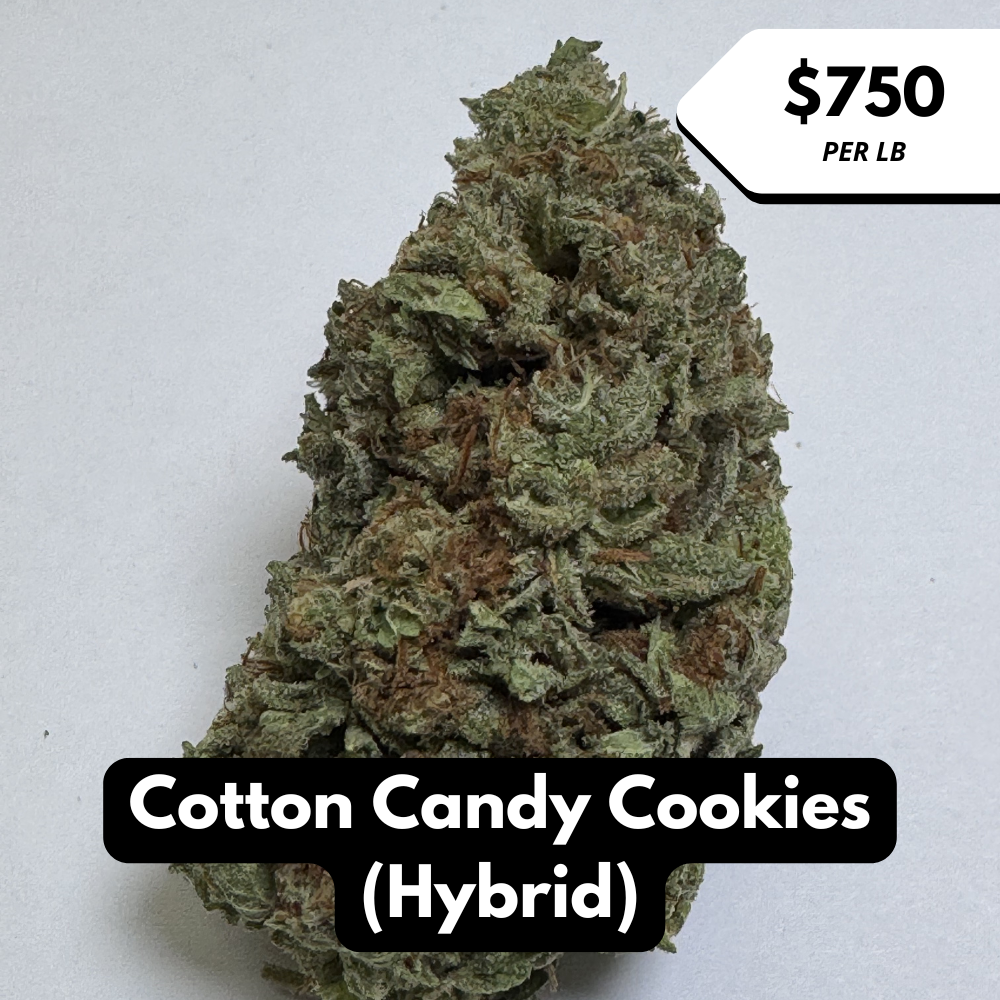 Natural THC-A Flower (Hybrid ~ Cotton Candy Cookies)