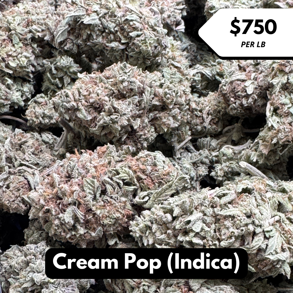 Natural THC-A Flower (Indica ~ Cream Pop)