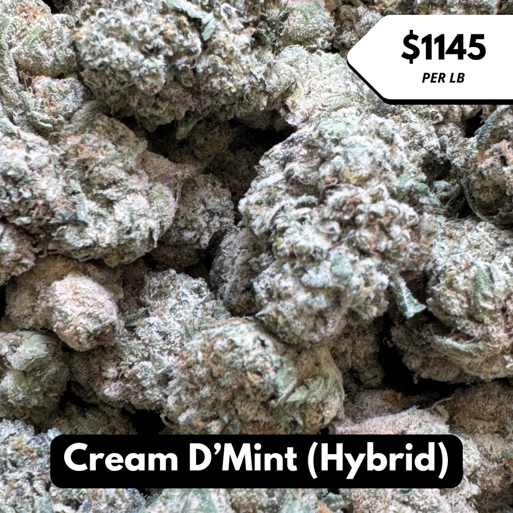 Natural THC-A Flower (Hybrid ~ Cream D'Mint)