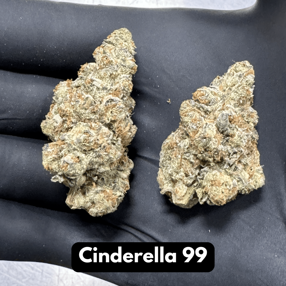 Natural THC-A Flower (Cinderella 99)