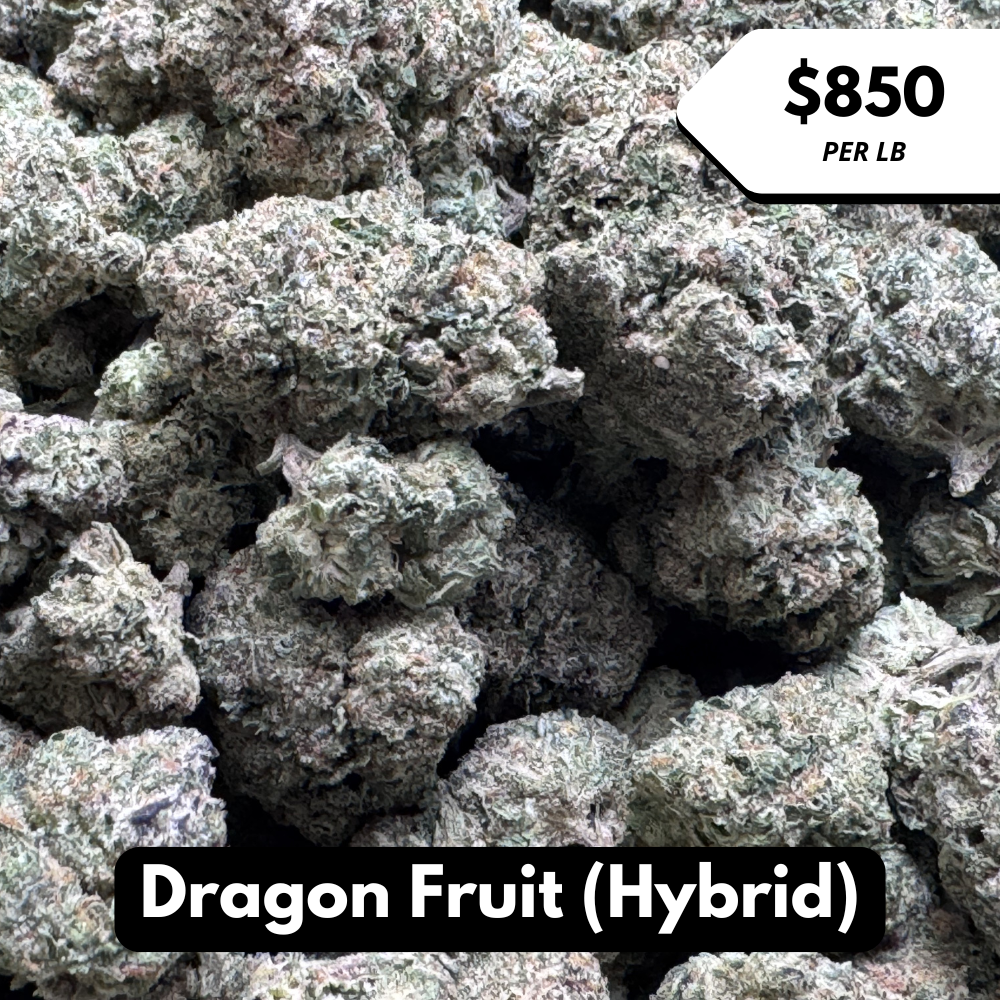 Natural THC-A Flower (Hybrid ~ Dragon Fruit)