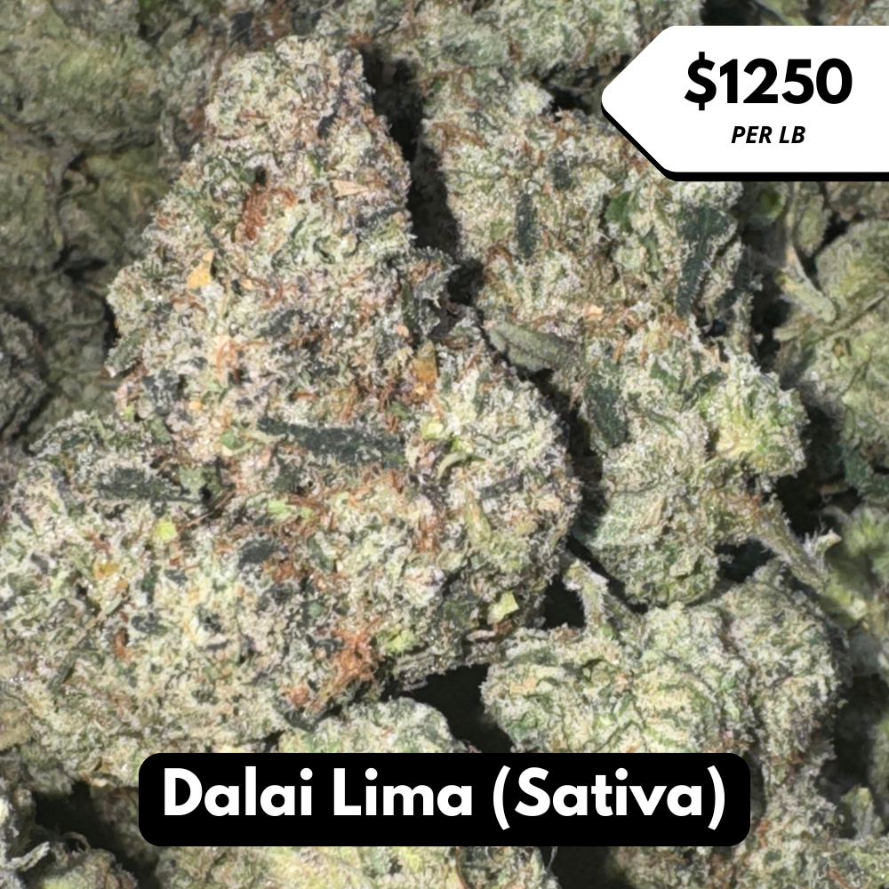 Natural THC-A Flower (Sativa ~ Dalai Lima)