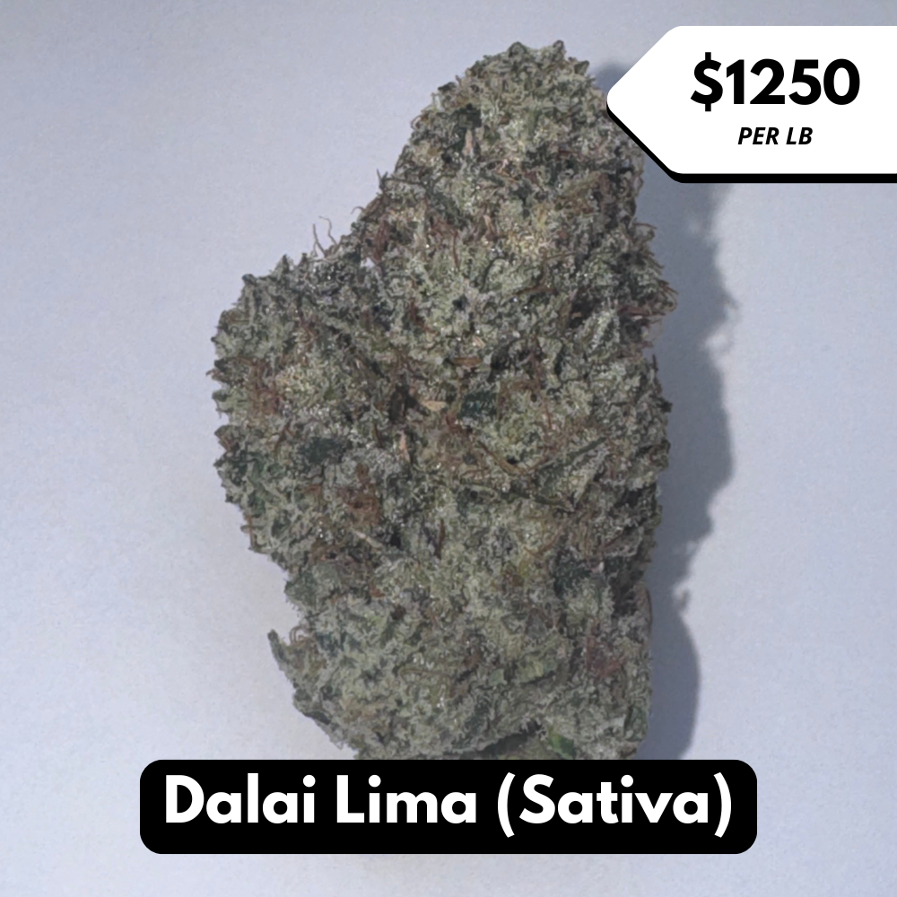 Natural THC-A Flower (Sativa ~ Dalai Lima)