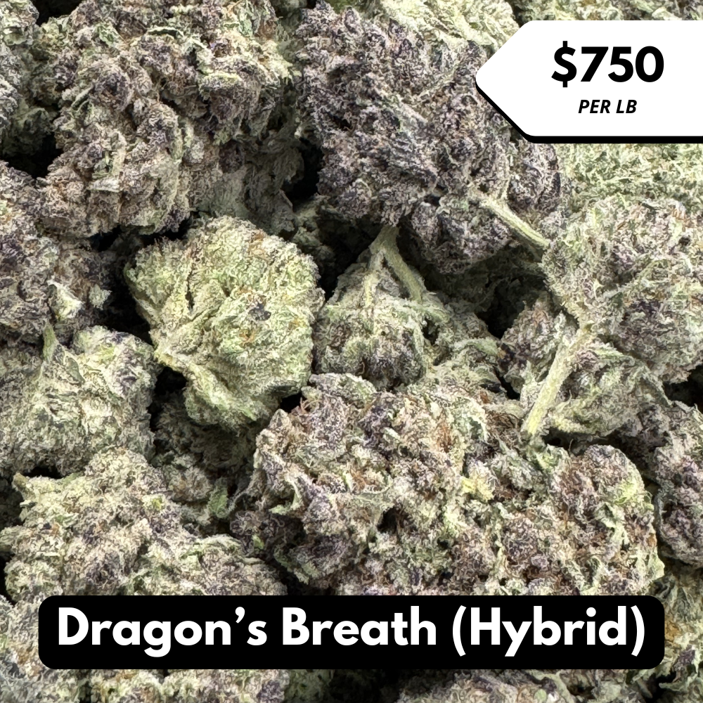 Natural THC-A Flower (Hybrid ~ Dragon's Breath)