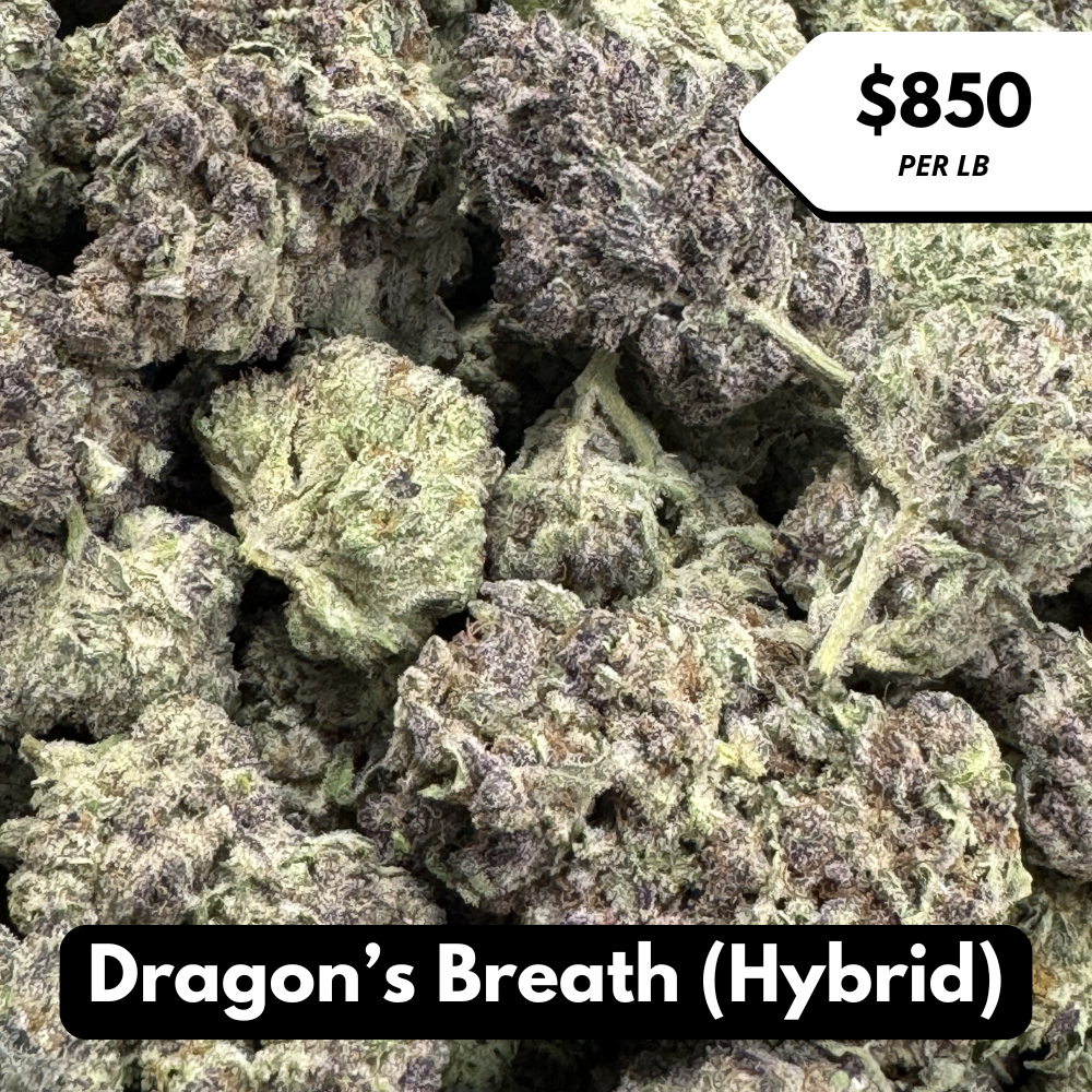 Natural THC-A Flower (Hybrid ~ Dragon's Breath)