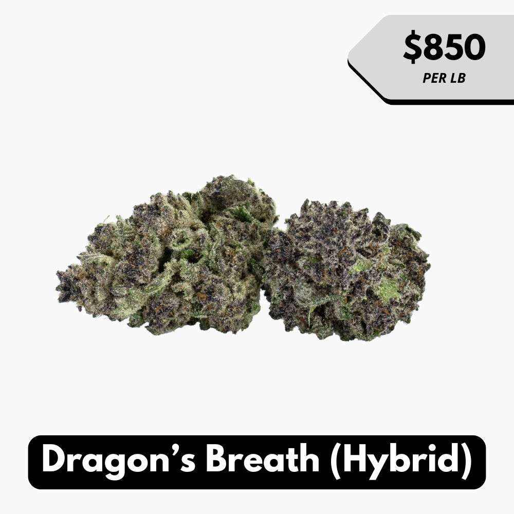 Natural THC-A Flower (Hybrid ~ Dragon's Breath)