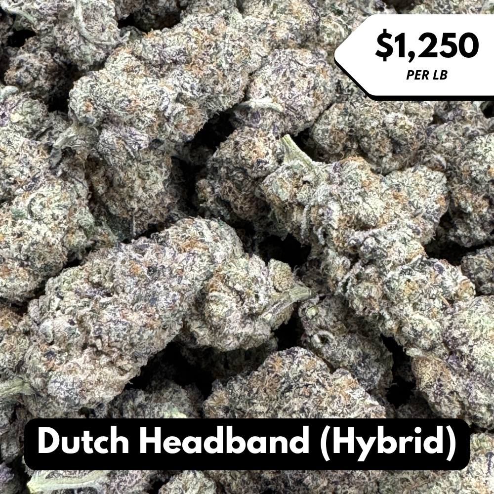 Natural THC-A Flower (Hybrid ~ Dutch Headband)