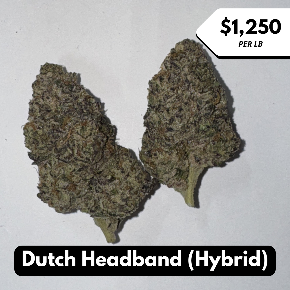 Natural THC-A Flower (Hybrid ~ Dutch Headband)