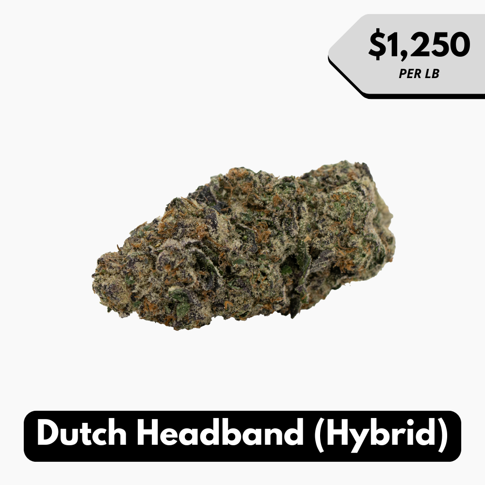 Natural THC-A Flower (Hybrid ~ Dutch Headband)