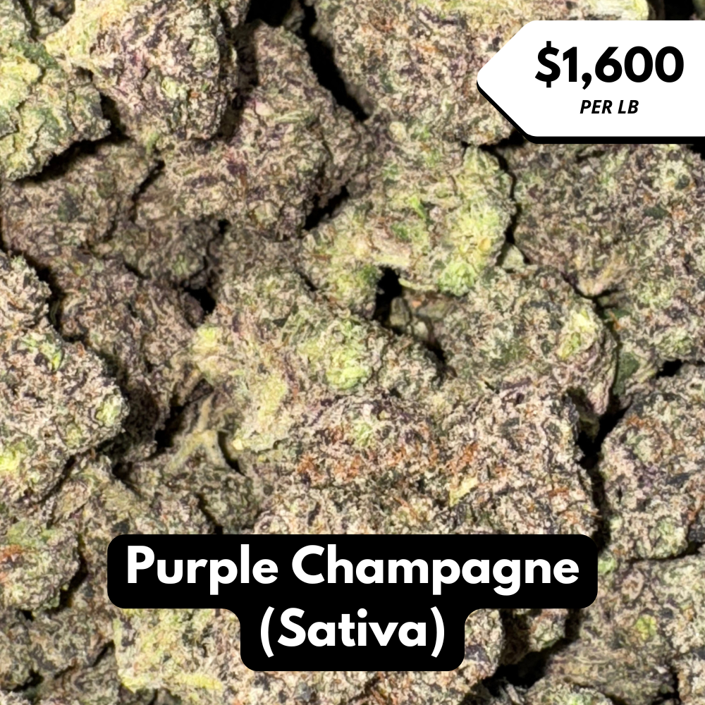 Natural THC-A Flower (Sativa ~ Purple Champagne)