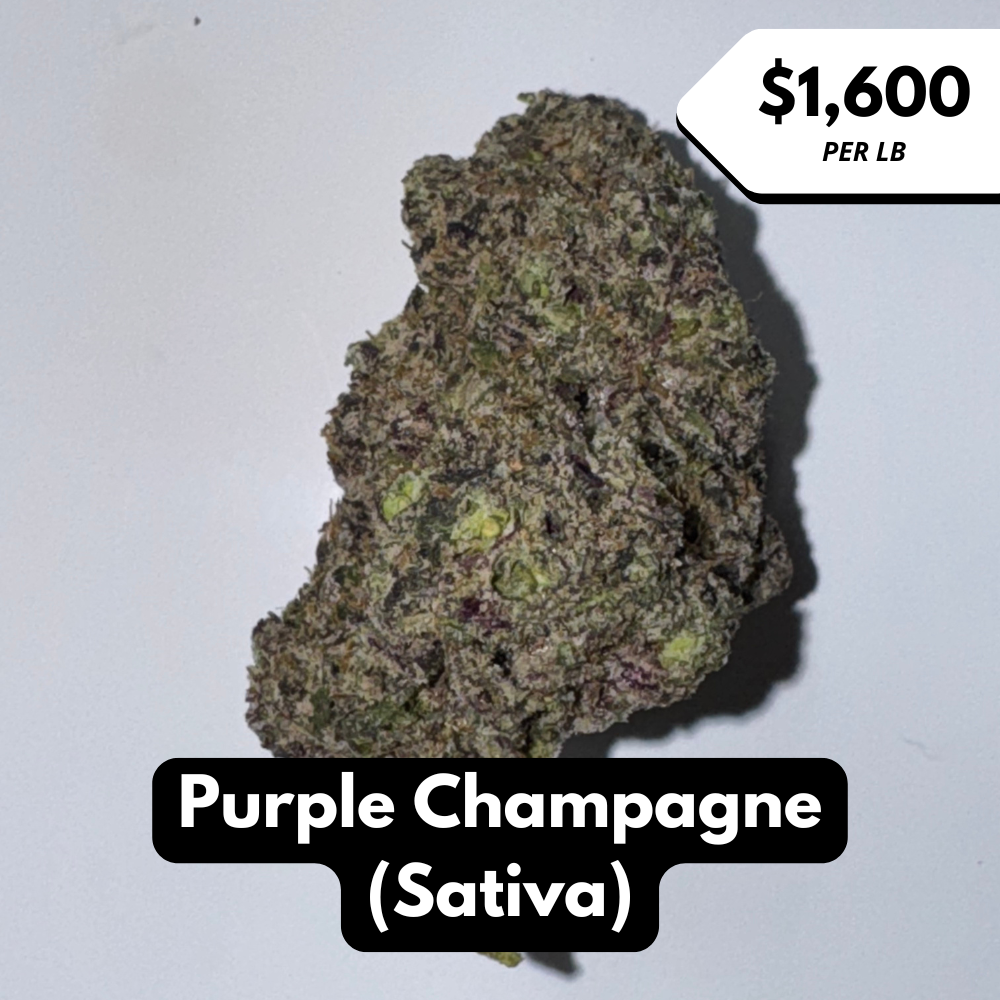 Natural THC-A Flower (Sativa ~ Purple Champagne)