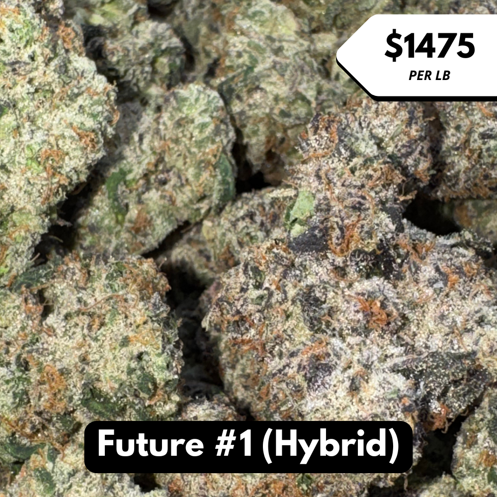 Natural THC-A Flower (Hybrid ~ Future #1)
