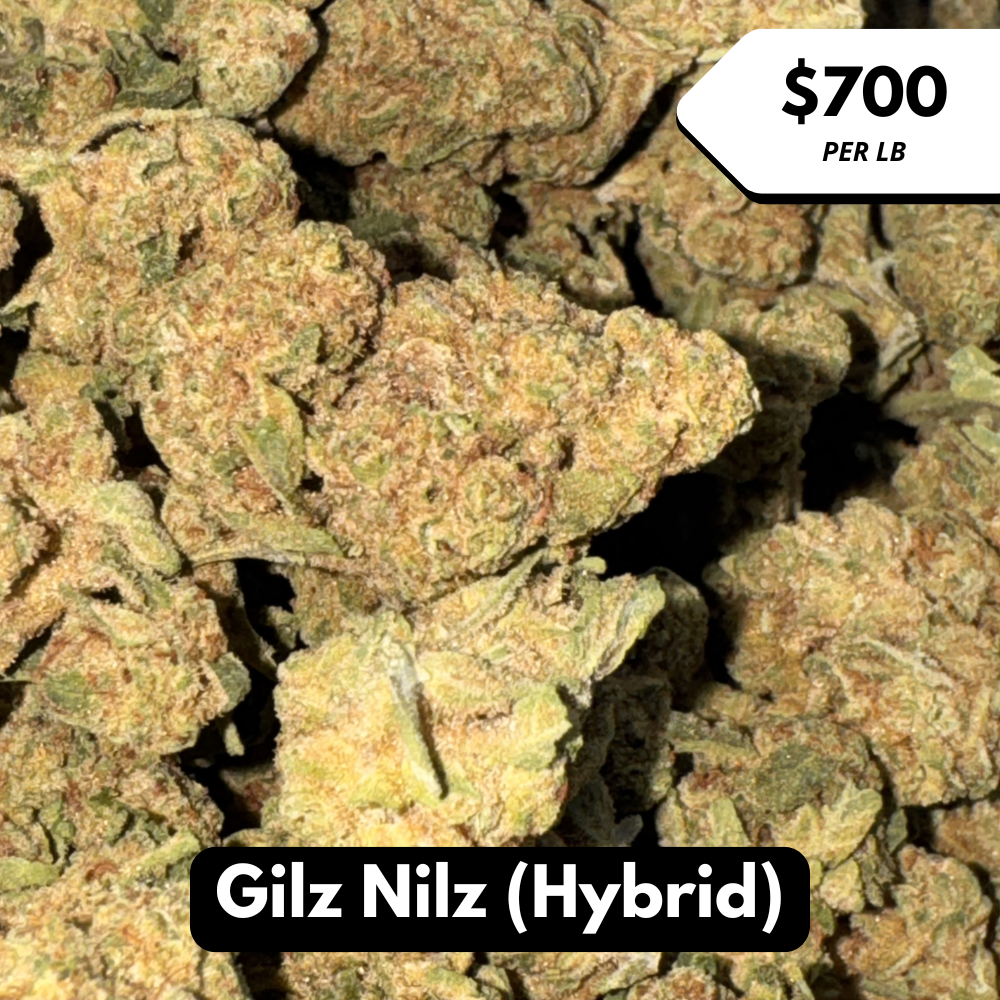 Natural THC-A Flower (Gilz Nilz ~ Hybrid)