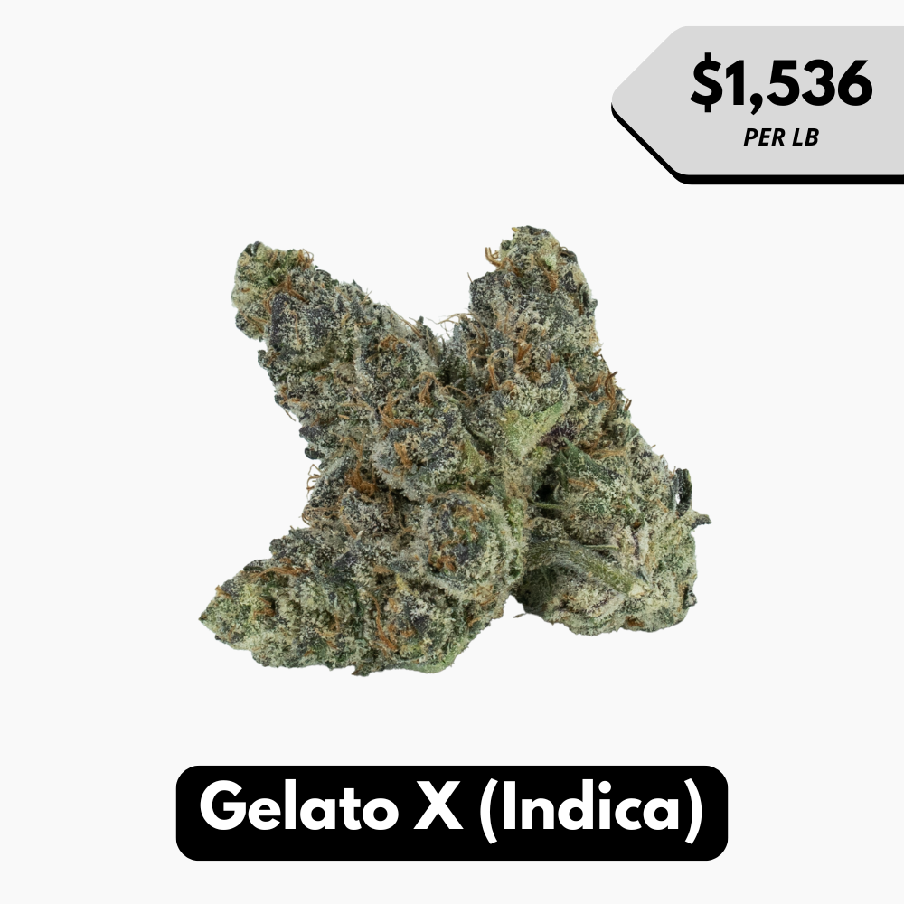 Natural THC-A Flower (Indica ~ Gelato X)